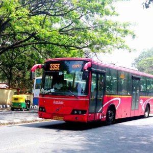 bus